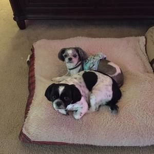 Meet your Posher, Junell